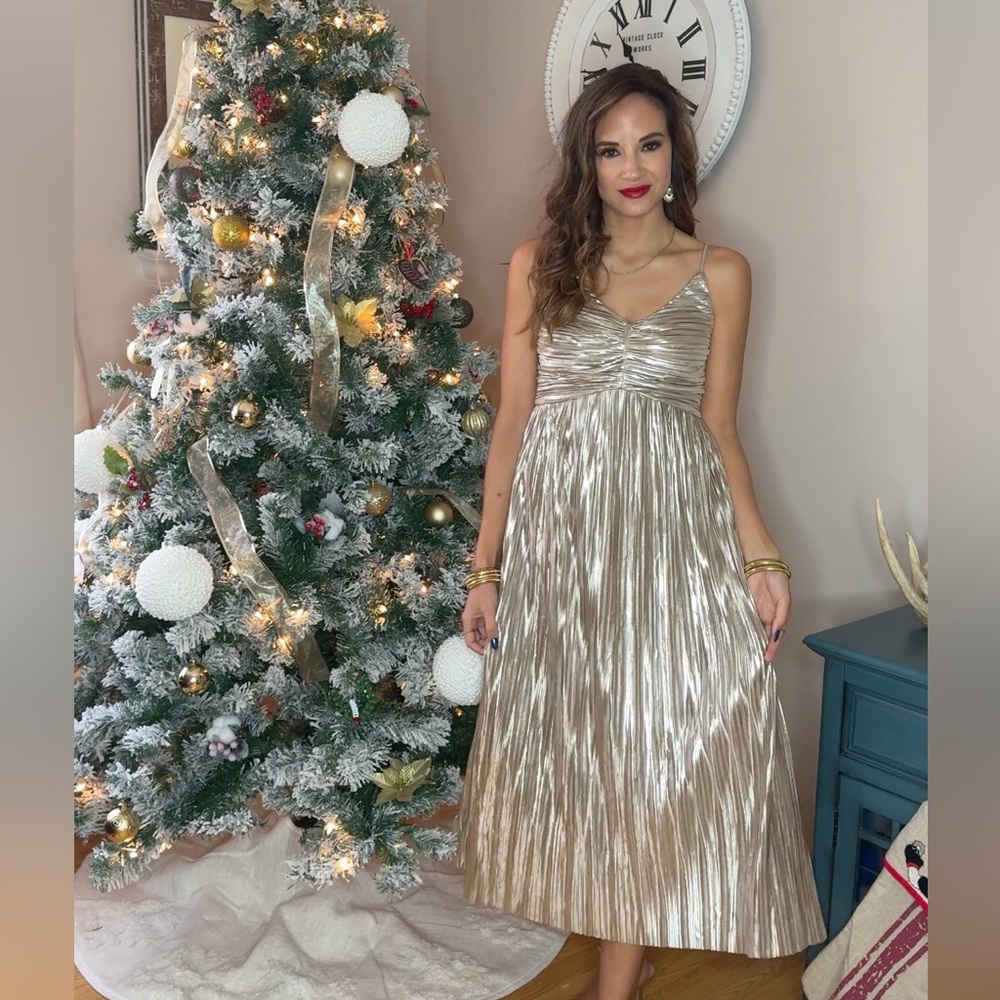 NWT Baltic Born Pleated Midi Dresss